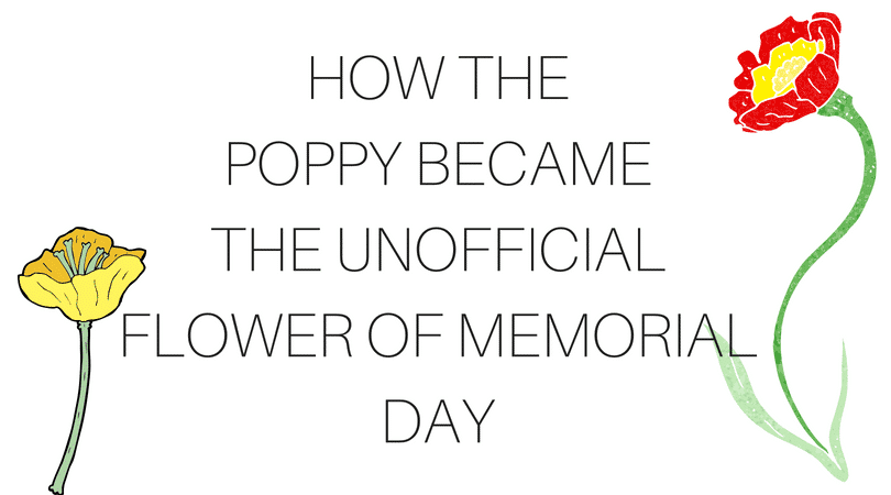 HOW THE POPPY BECAME THE UNOFFICIAL FLOWER OF MEMORIAL DAY